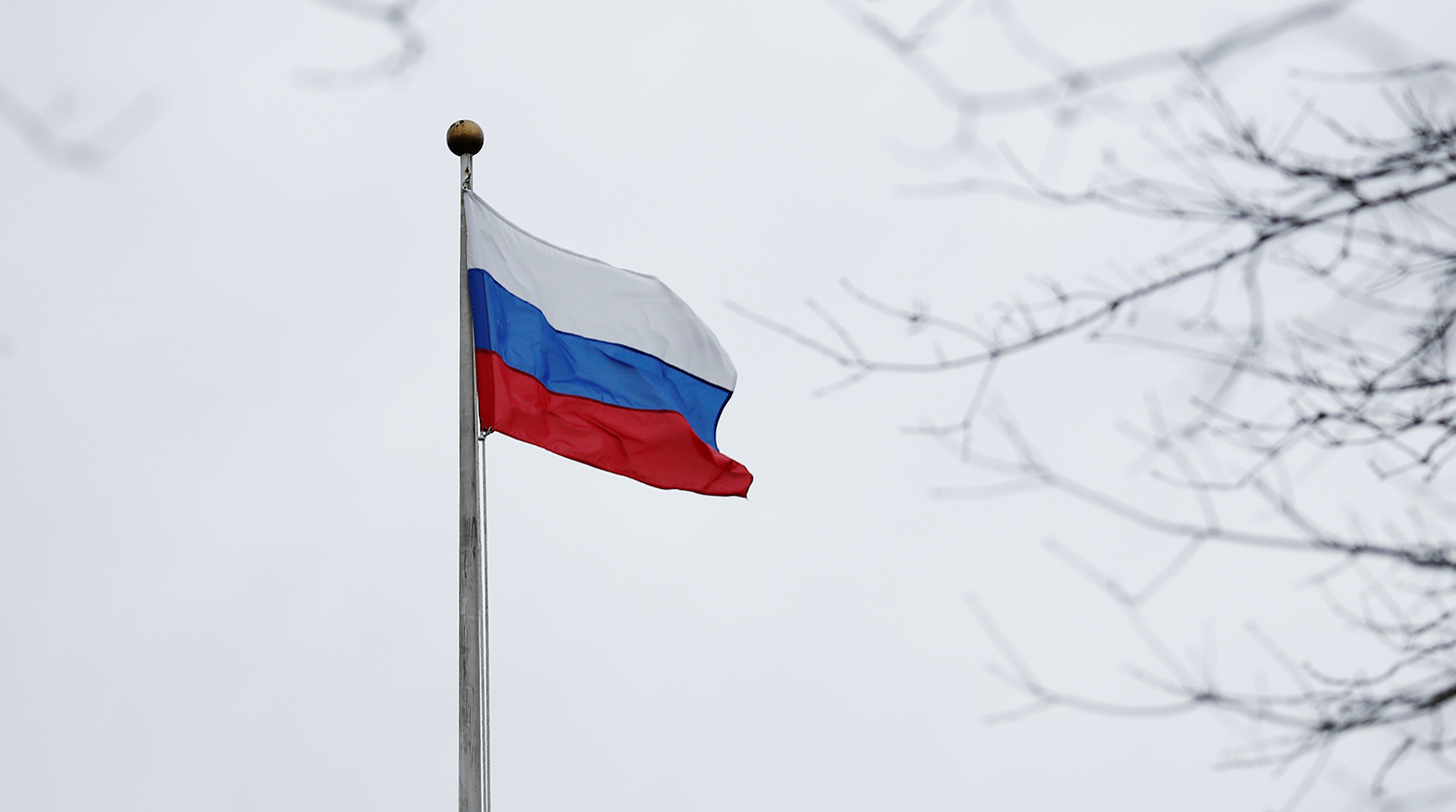 Donetskdə rus bayrağı asıldı –