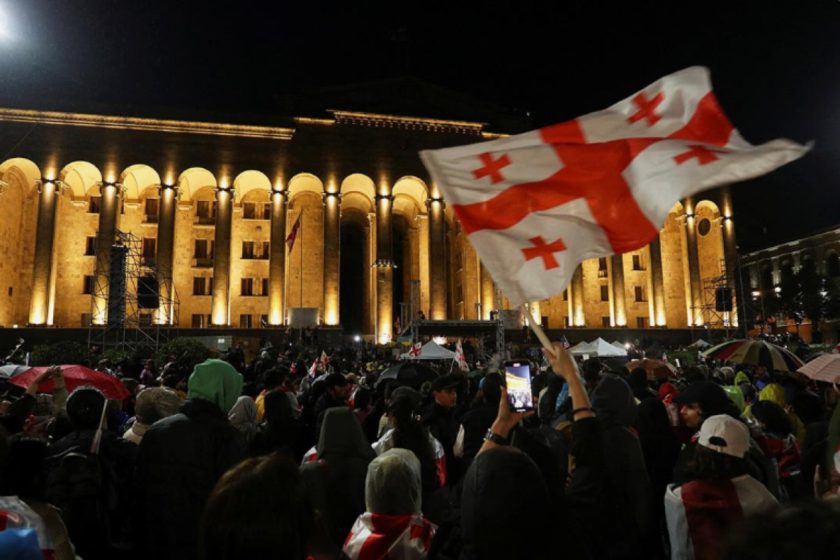 Avropalı deputatlar Tbilisidə keçirilən aksiyaya qatıldı